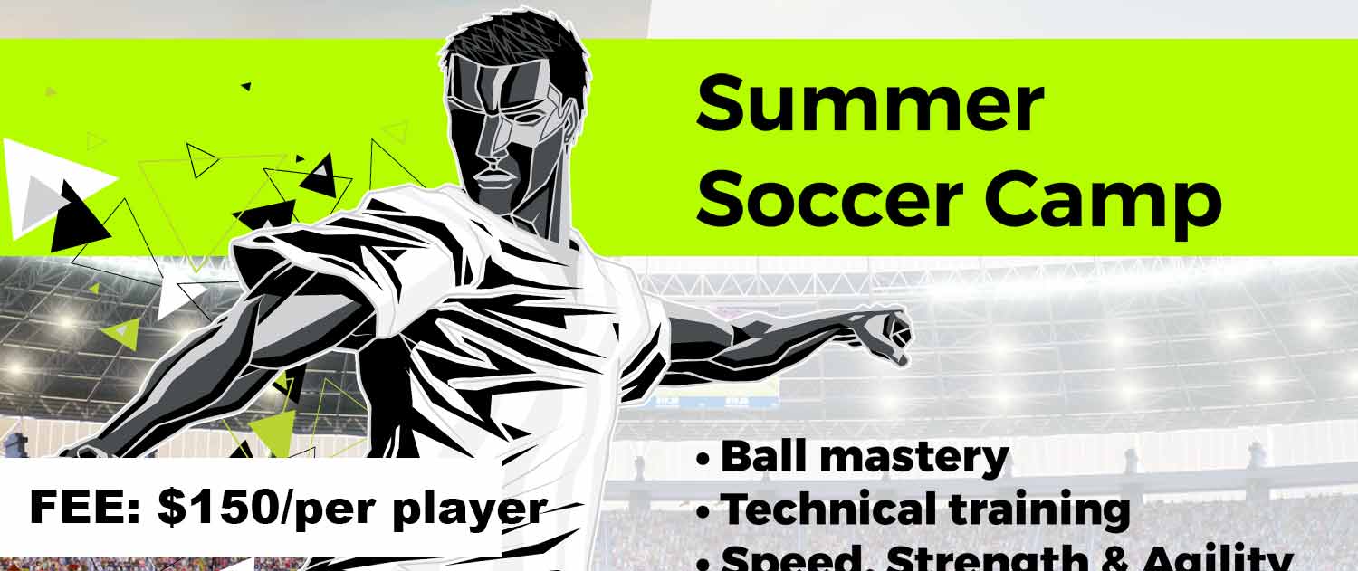 Home Hamilton Elite FC